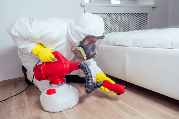 Best Affordable Pest Control Services  in Provo, UT