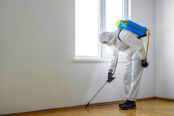 Best Commercial Pest Control Services  in Provo, UT