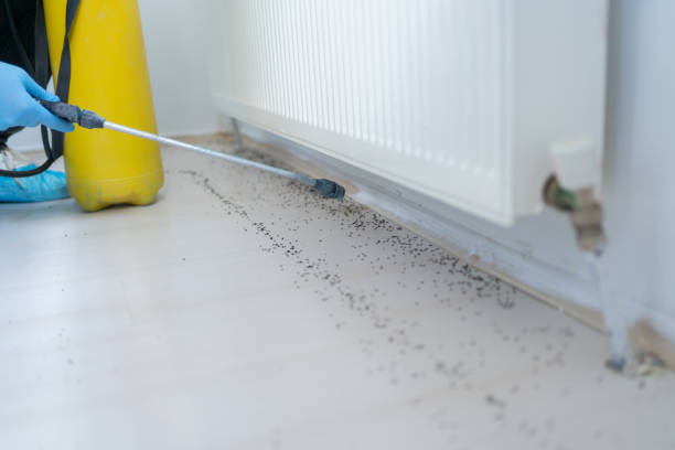 Best Ant Control Services  in Provo, UT